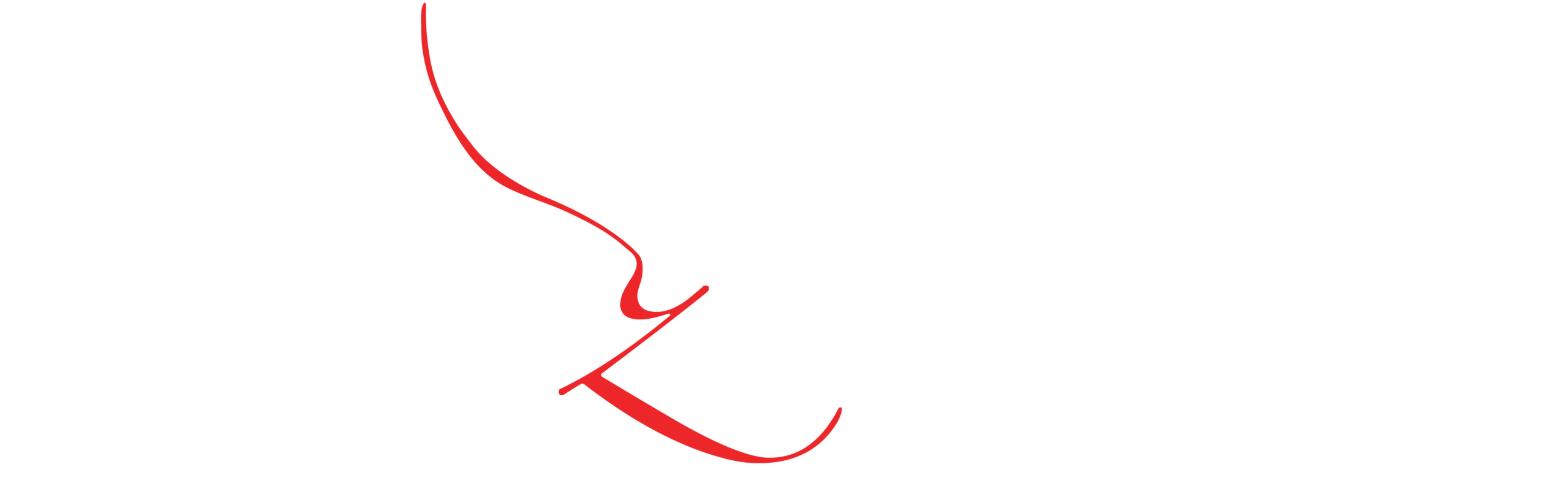 Logo della scuola di danza "Danzarmonia", con figure stilizzate che danzano insieme.