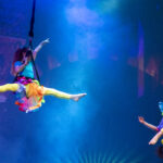 Bungee Fly Junior